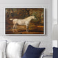 Grey Arabian Stallion, Property of Sir Watkin Williams-Wynn, c. 1817 - Floater Framed Canvas Print