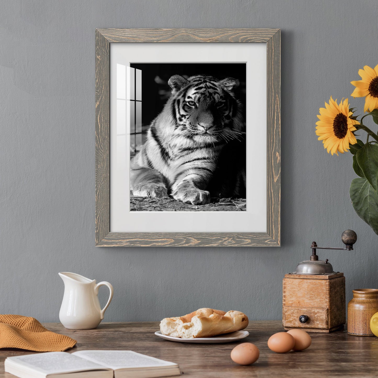 Tiger Repose - Premium Framed Print - Distressed Barnwood Frame - Ready to Hang