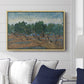 Olive Trees, 1889 - Floater Framed Canvas Print