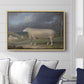 A Border Leicester Ewe, c. 1795-1800 - Floater Framed Canvas Print