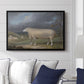 A Border Leicester Ewe, c. 1795-1800 - Floater Framed Canvas Print