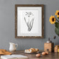 Inky Botanical II - Premium Framed Print - Distressed Barnwood Frame - Ready to Hang