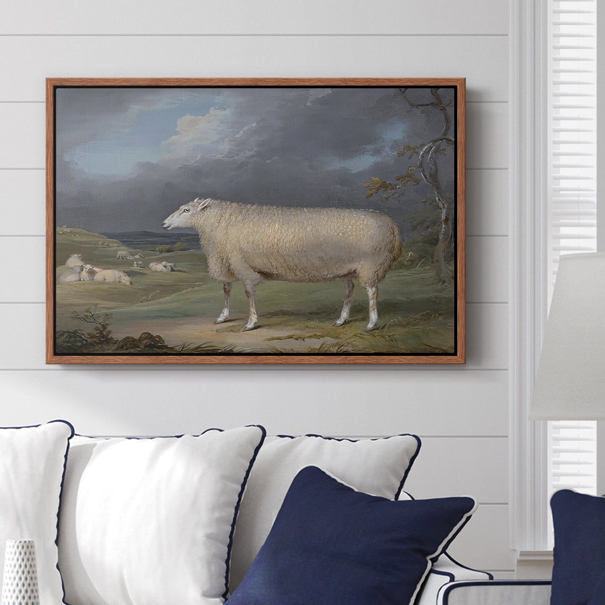 A Border Leicester Ewe, c. 1795-1800 - Floater Framed Canvas Print