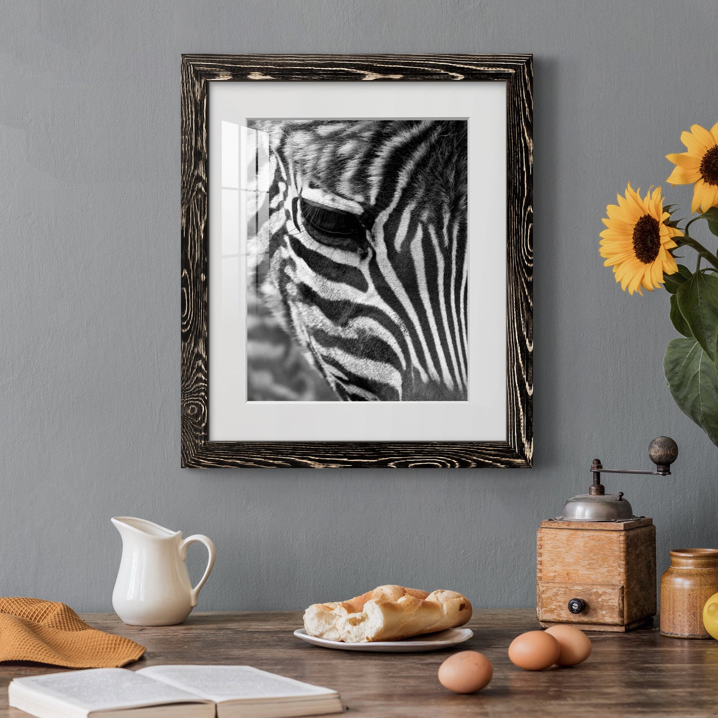 Zebra Colt - Premium Framed Print - Distressed Barnwood Frame - Ready to Hang