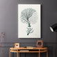Antique Coastal Coral III - Canvas Art Print