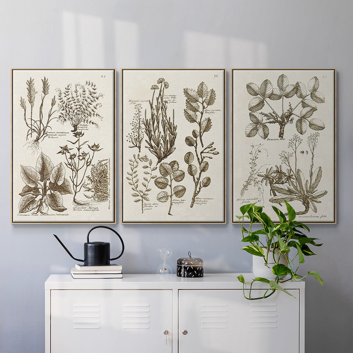 Sepia Botanical Journal VI - Framed Premium Gallery Wrapped Canvas L Frame 3 Piece Set - Ready to Hang