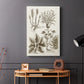 Sepia Botanical Journal VII - Canvas Art Print