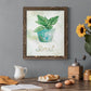 Potted Basil - Premium Canvas Framed in Barnwood - Ready to Hang