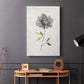 Botanical Beauty I - Canvas Art Print
