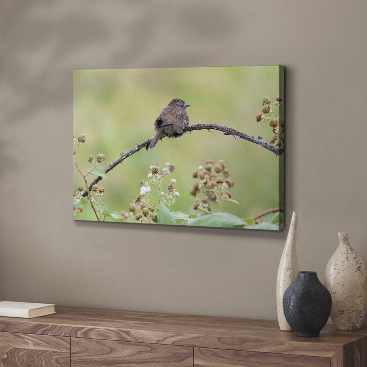 Resting Sparrow - Canvas Art Print