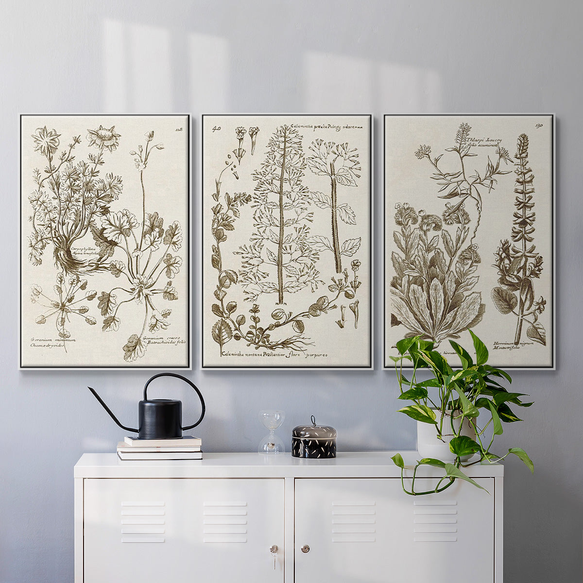 Sepia Botanical Journal IV - Framed Premium Gallery Wrapped Canvas L Frame 3 Piece Set - Ready to Hang