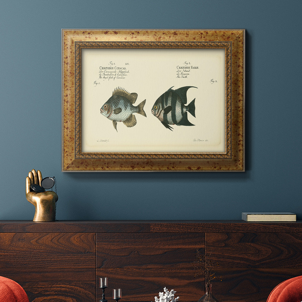 Bloch Antique Fish II Premium Framed Canvas- Ready to Hang