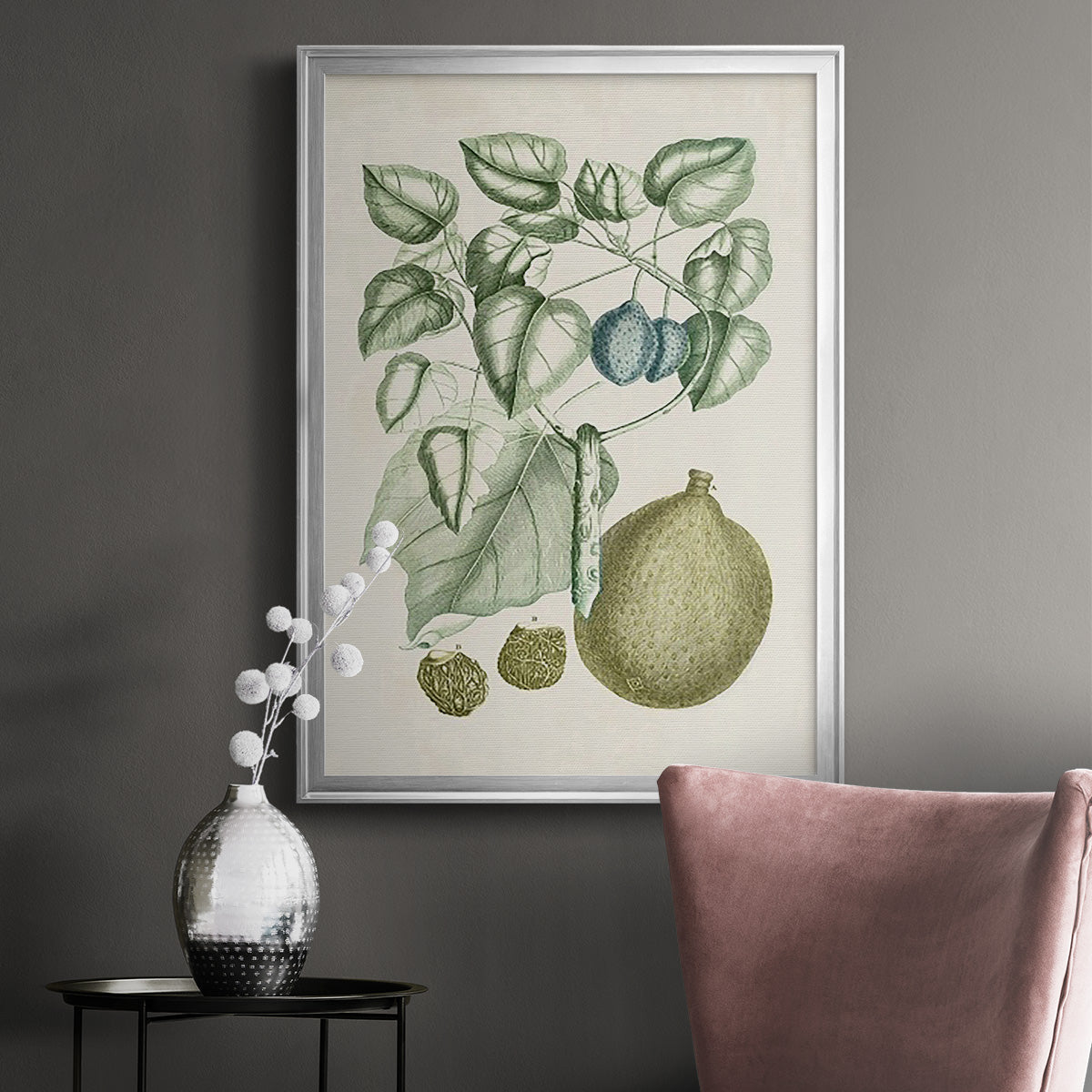 Buchoz Tropicals VIII - Modern Framed Canvas Print