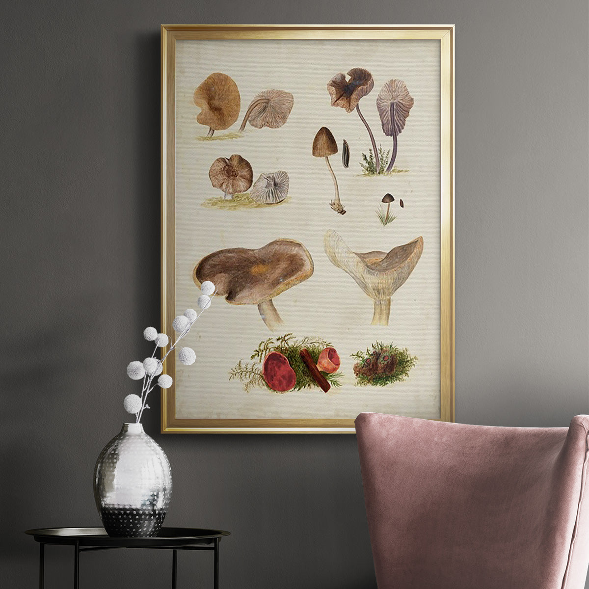 Mushroom Species III - Modern Framed Canvas Print