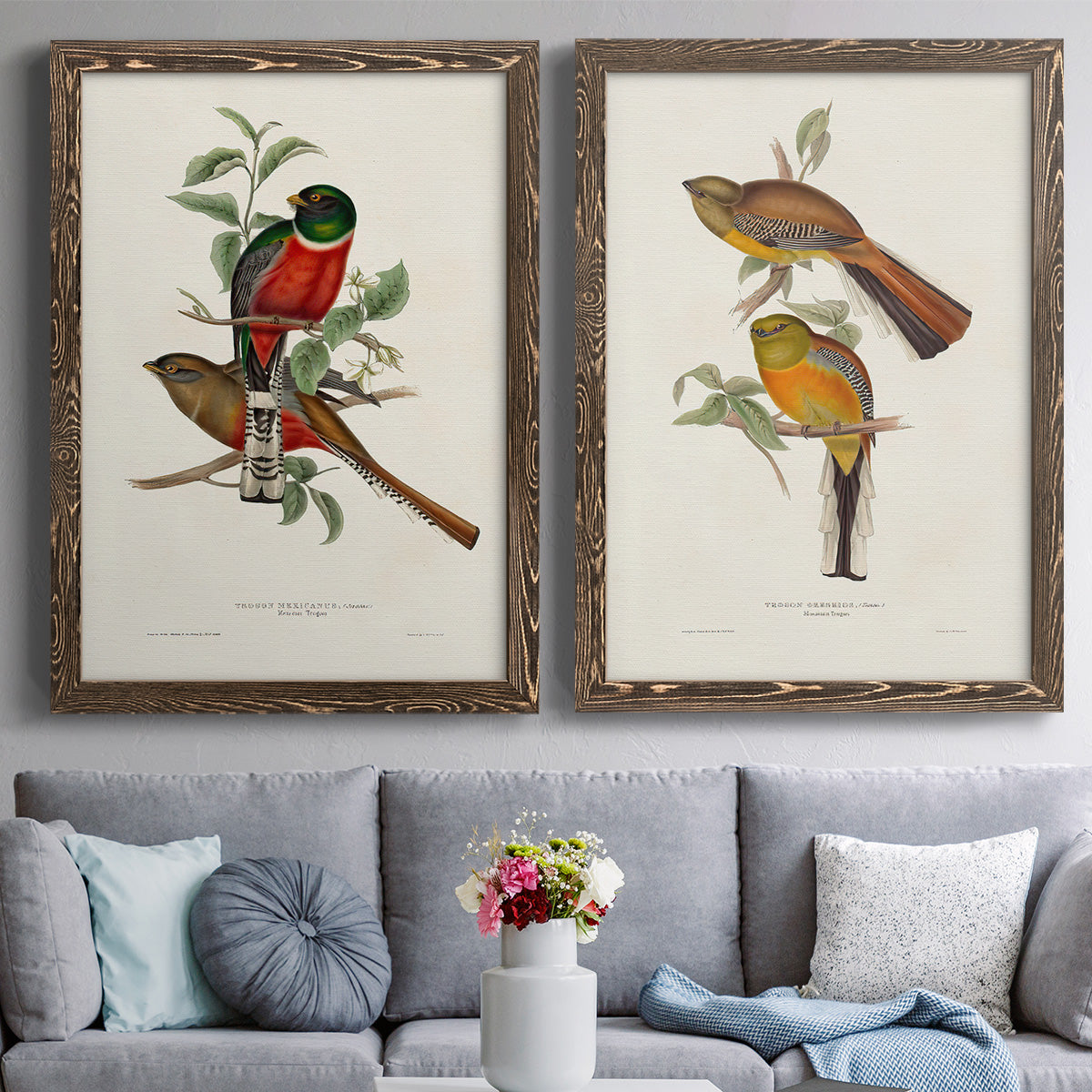 Elegant Trogons I - Premium Framed Canvas 2 Piece Set - Ready to Hang