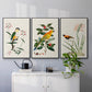 Bird in Habitat III - Framed Premium Gallery Wrapped Canvas L Frame 3 Piece Set - Ready to Hang