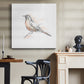Robin Bird Sketch II - Canvas Art Print