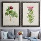 Set of two black barnwood framed canvas prints depicting paired vintage botanical plate illustrations with peonies thistles leafy stems and archival cream paper above a sofa in a contemporary living room.