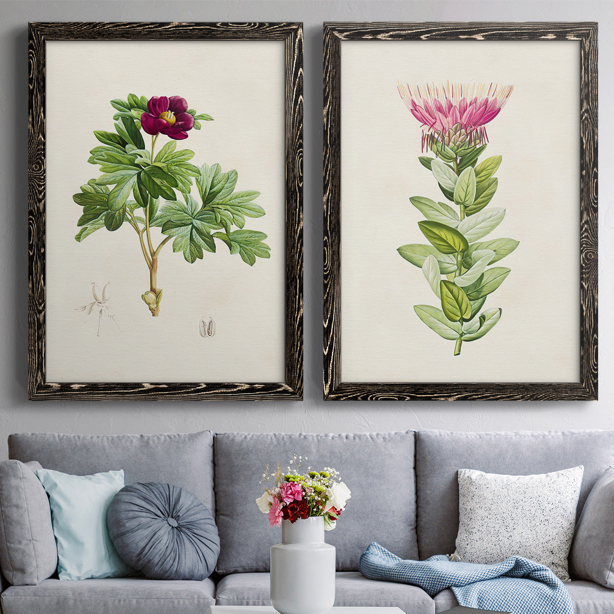 Set of two black barnwood framed canvas prints depicting paired vintage botanical plate illustrations with peonies thistles leafy stems and archival cream paper above a sofa in a contemporary living room.