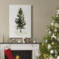 Watercolor Pine I - Gallery Wrapped Canvas