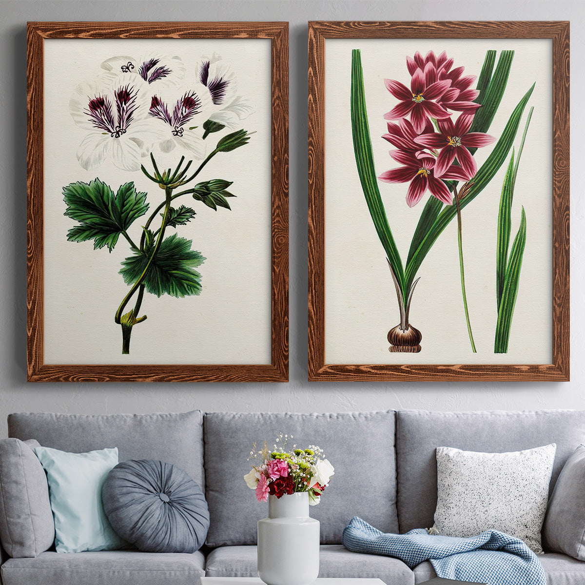 Set of two maple barnwood framed canvas prints depicting paired antique botanical plate illustrations with detailed blossoms, leaves, roots, and archival cream grounds above a sofa in a contemporary living room.