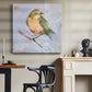 Bird Variety II-Premium Gallery Wrapped Canvas - Ready to Hang