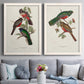 Elegant Trogons V - Premium Framed Canvas 2 Piece Set - Ready to Hang