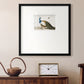 Standing Peacock Premium Framed Print Double Matboard