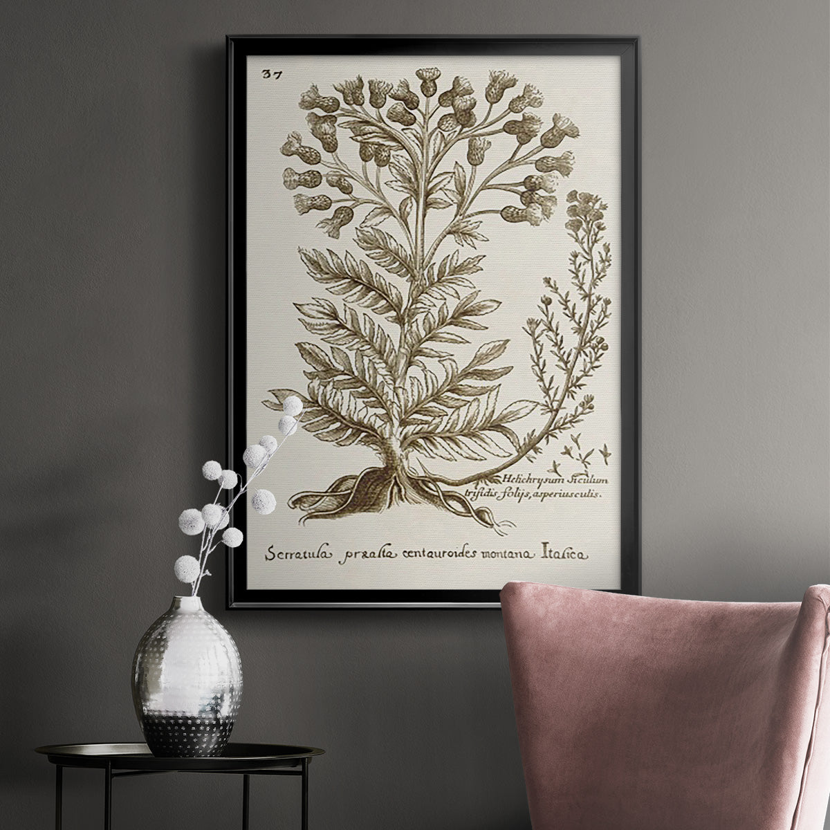 Sepia Botanical Journal I - Modern Framed Canvas Print