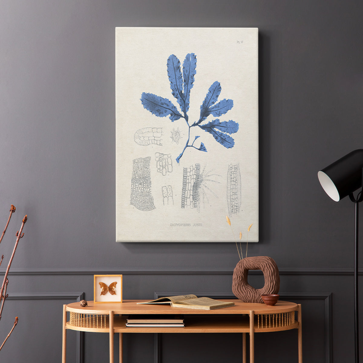 Blue Marine Algae VII - Canvas Art Print
