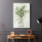 Delicate Greenery I - Canvas Art Print
