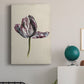 Antique Tulip Study II Premium Gallery Wrapped Canvas - Ready to Hang