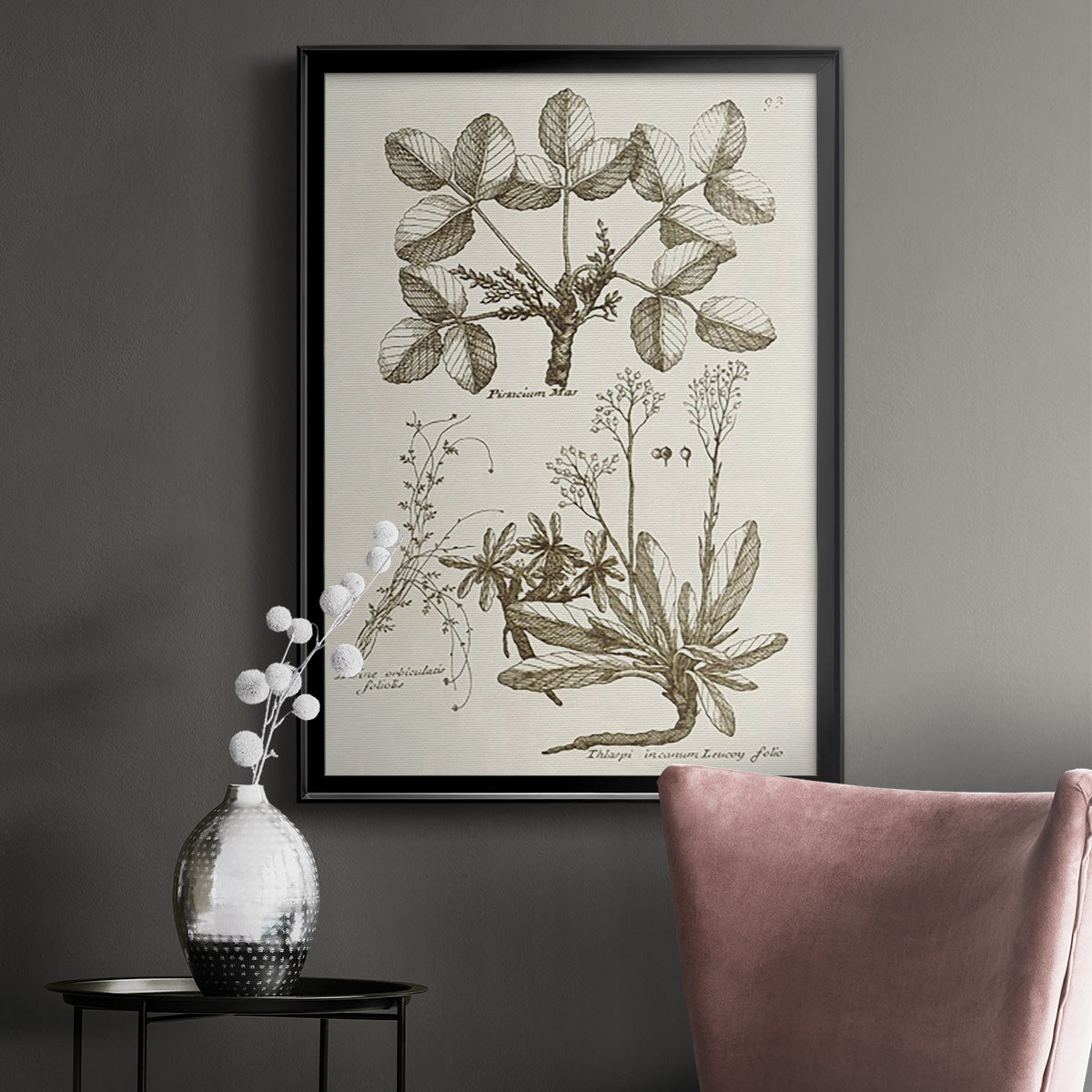 Sepia Botanical Journal VI - Modern Framed Canvas Print