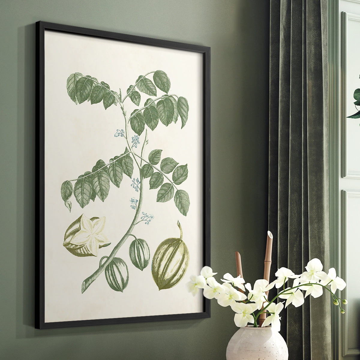 Buchoz Tropicals II - Restickable Framed Art Print