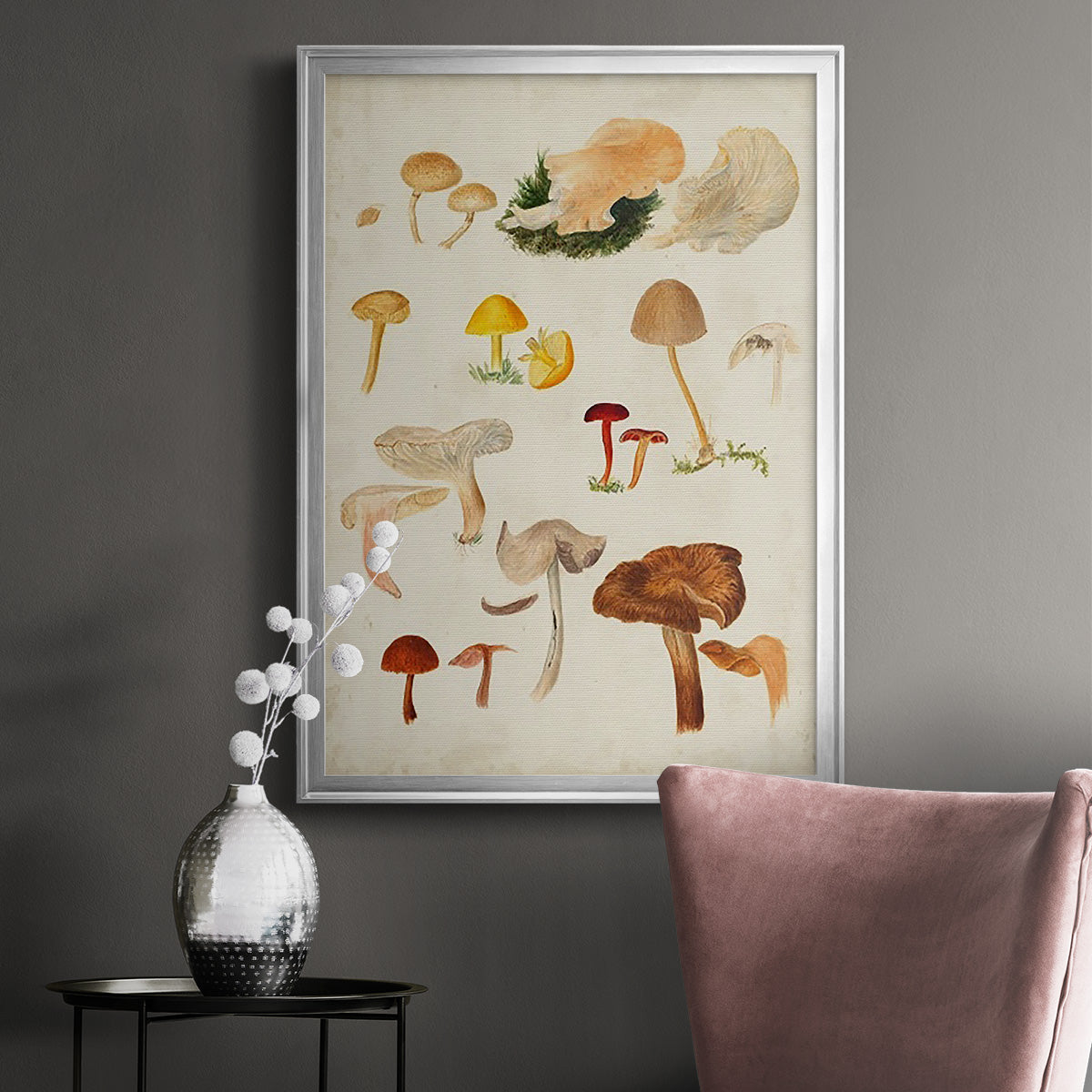 Mushroom Species XII - Modern Framed Canvas Print