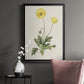 Flowers of the Seasons XII - Modern Framed Canvas Print