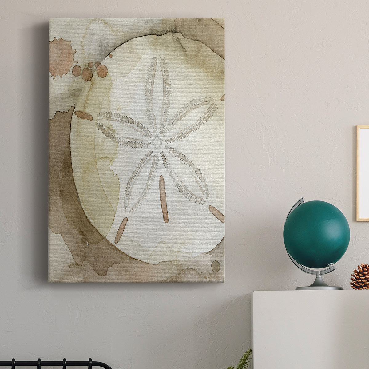 Dry Sand Dollar II Premium Gallery Wrapped Canvas - Ready to Hang