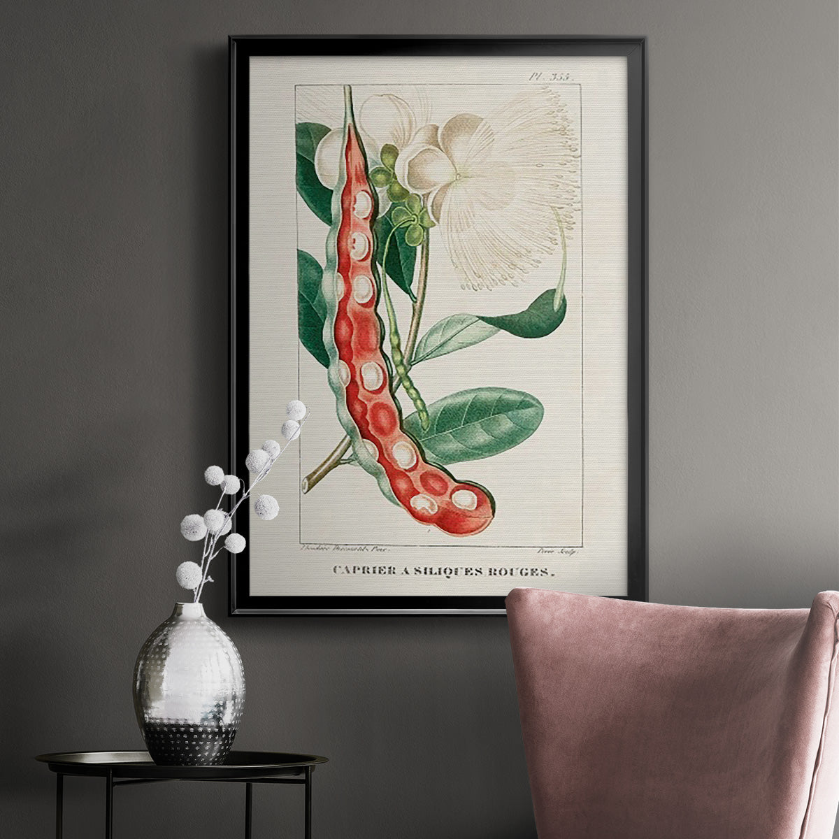 Turpin Tropical Botanicals VIII - Modern Framed Canvas Print