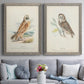 Hawk Owl - Premium Framed Canvas 2 Piece Set - Ready to Hang