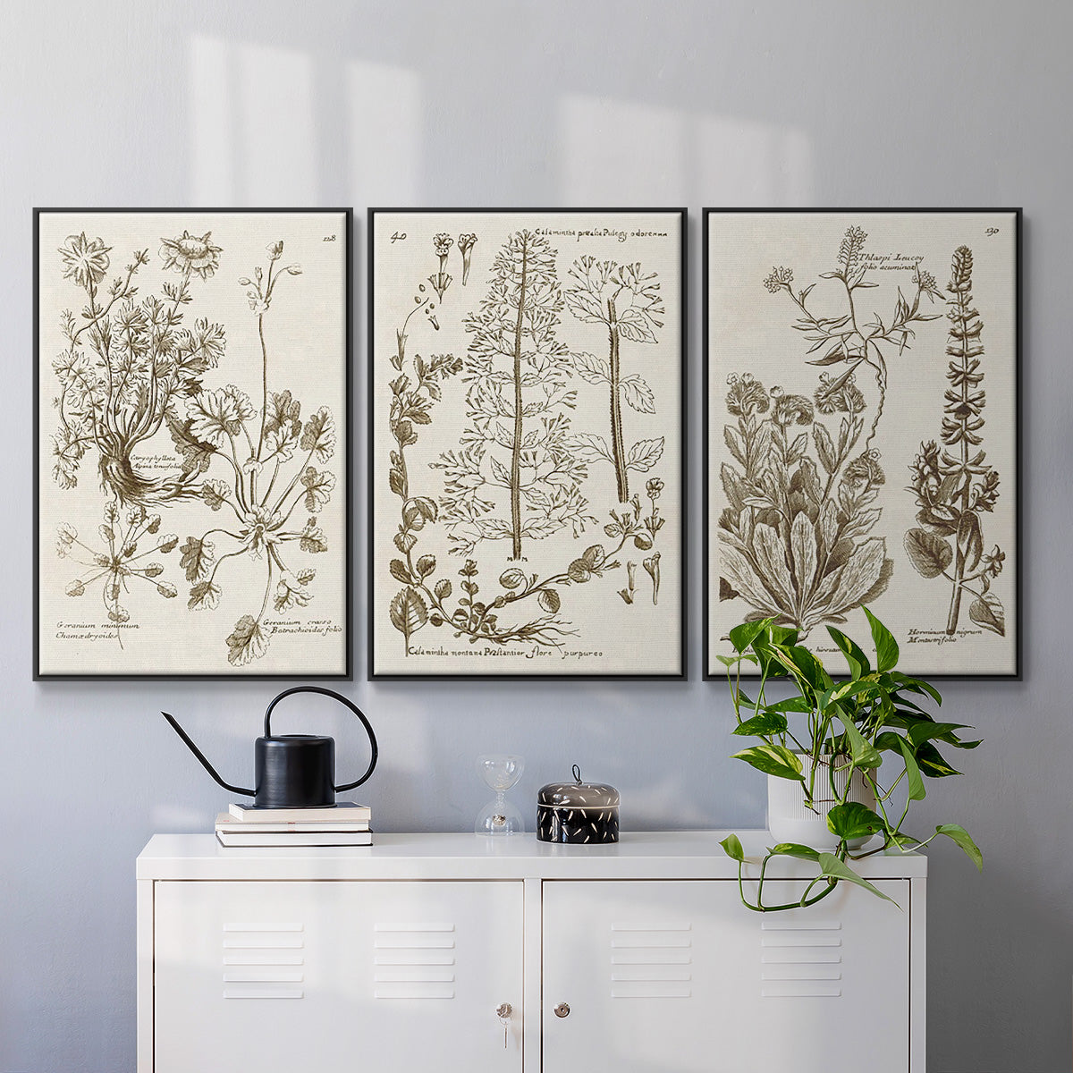 Sepia Botanical Journal IV - Framed Premium Gallery Wrapped Canvas L Frame 3 Piece Set - Ready to Hang