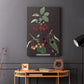 Brookshaw Cherries - Canvas Art Print