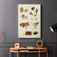 Mushroom Species III - Canvas Art Print