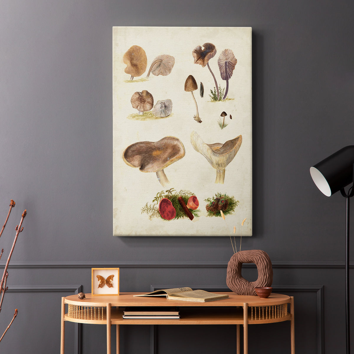 Mushroom Species III - Canvas Art Print