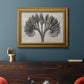 Vintage botanical plant study photograph by Karl Blossfeldt in an ornate traditional gold frame displayed in a dark-toned interior setting.