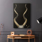 Spiral Antelope Horns - Canvas Art Print