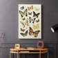 Collected Flutter I - Canvas Art Print