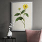 Flowers of the Seasons X - Modern Framed Canvas Print