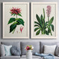 Antique Floral Folio I - Premium Framed Canvas 2 Piece Set - Ready to Hang