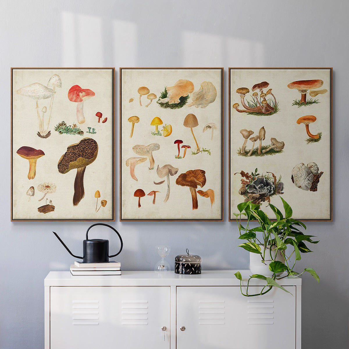 Mushroom Species X - Framed Premium Gallery Wrapped Canvas L Frame 3 Piece Set - Ready to Hang