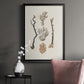 Knorr Shells & Coral V - Modern Framed Canvas Print